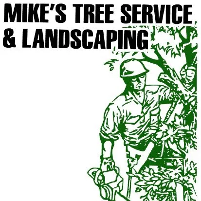 Reliable landscape design experts serving Peculiar, MO - Mikes Tree Service & Landscaping