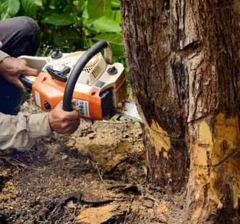 Reliable garden landscaping experts serving Peculiar, MO - Mikes Tree Service & Landscaping