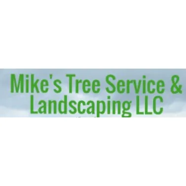 Local yard cleanup service in Peculiar, MO - Mikes Tree Service & Landscaping