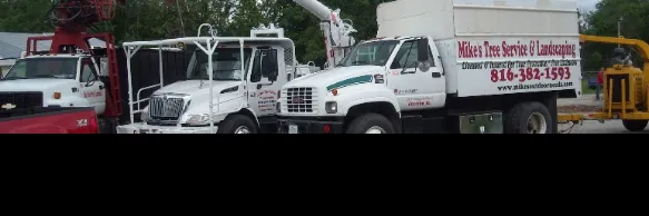 Local outdoor landscaping for year-round maintenance in Peculiar, MO by Mikes Tree Service & Landscaping