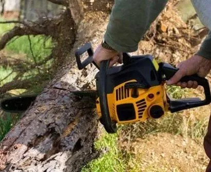 Custom residential landscaping near you across Peculiar, MO - Mikes Tree Service & Landscaping