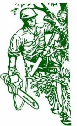 Expert yard maintenance for residential properties across Peculiar, MO - Mikes Tree Service & Landscaping