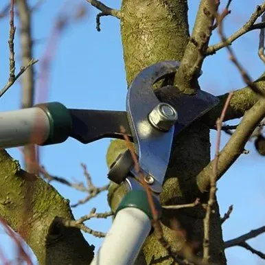 Professional residential landscaping with custom design in Peculiar, MO by Mikes Tree Service & Landscaping