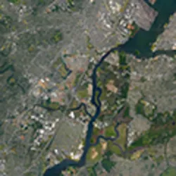 Top-rated residential landscaping in Peculiar, MO - Mikes Tree Service & Landscaping