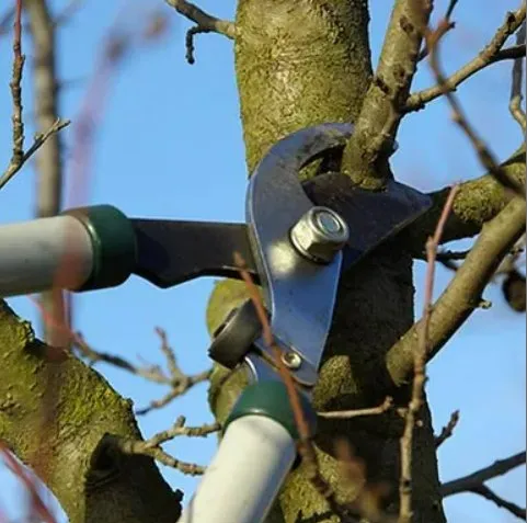 Custom lawn care service in Peculiar, MO - Mikes Tree Service & Landscaping