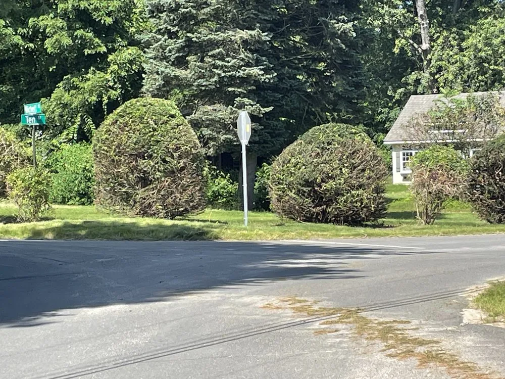 Custom lawn mowing service near you in Torrington, CT by Mike's Tree Service & Landscaping