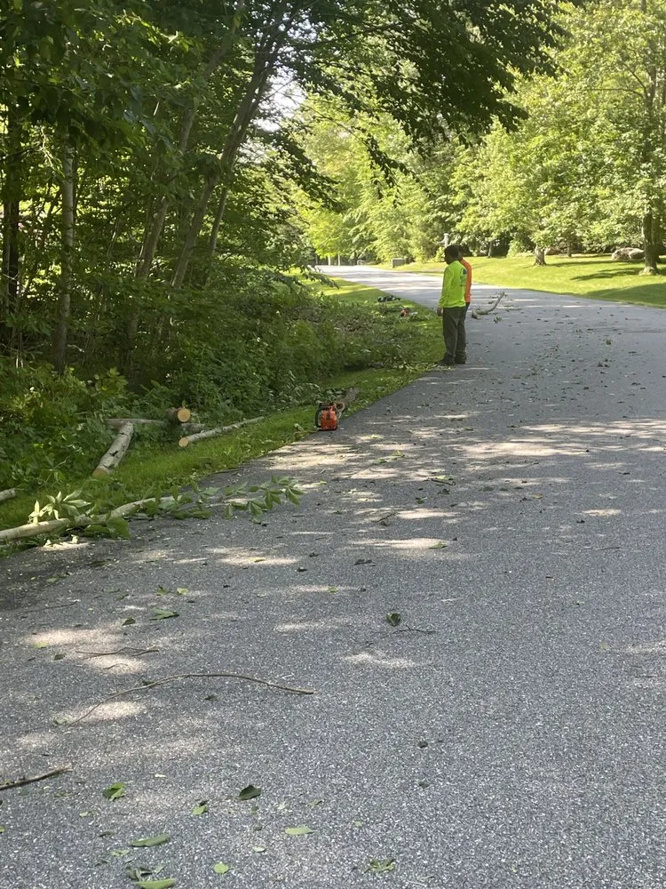 Reliable residential landscaping in Torrington, CT - Mike's Tree Service & Landscaping