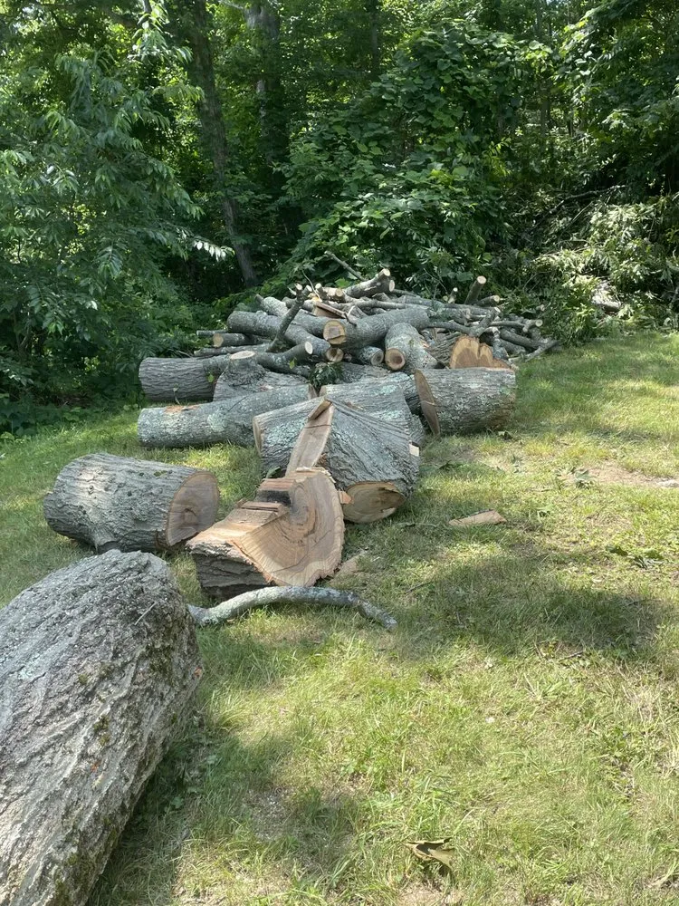 Custom yard cleanup service in Torrington, CT by Mike's Tree Service & Landscaping