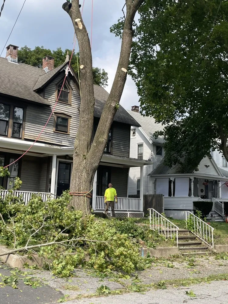 Affordable landscape design for beautiful yards in Torrington, CT by Mike's Tree Service & Landscaping