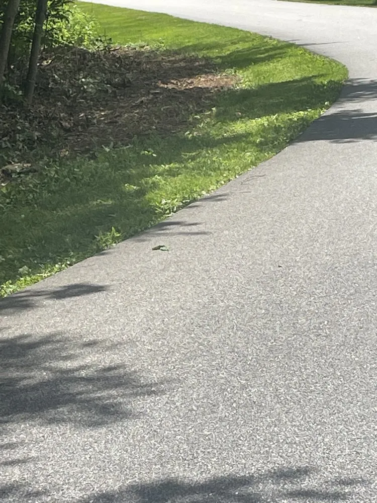 Expert yard cleanup service with custom design in Torrington, CT by Mike's Tree Service & Landscaping