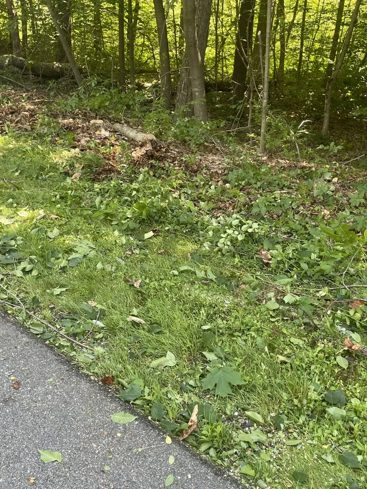 Professional outdoor landscaping experts serving Torrington, CT - Mike's Tree Service & Landscaping