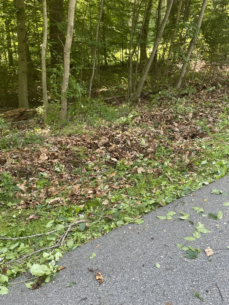 Reliable landscape installation in Torrington, CT by Mike's Tree Service & Landscaping