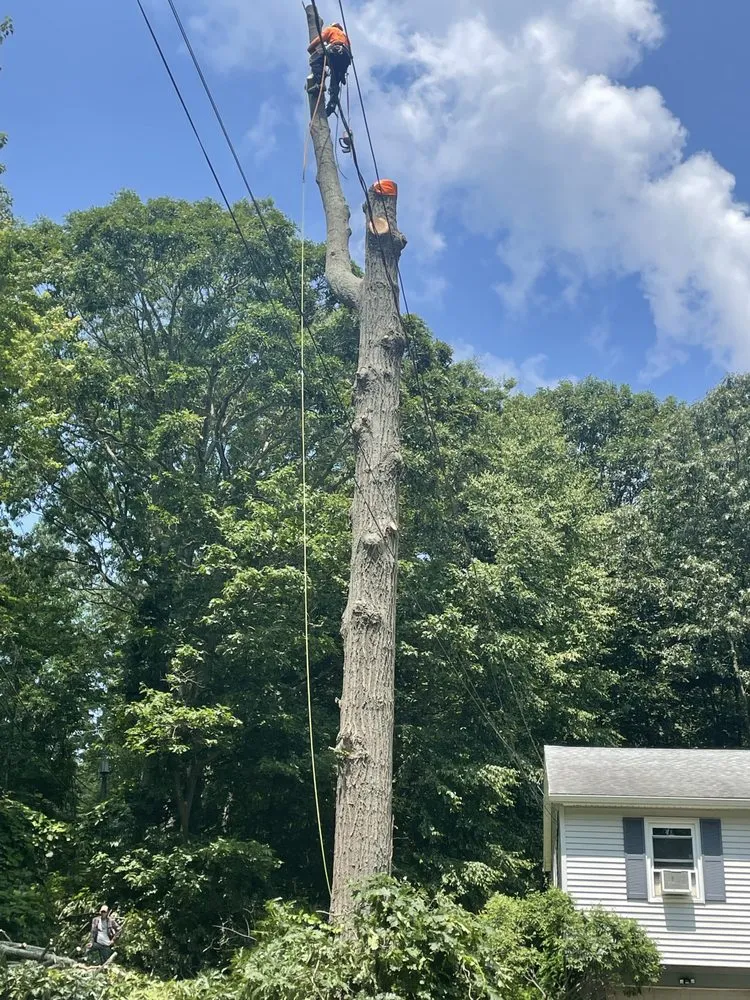 Local garden landscaping in Torrington, CT by Mike's Tree Service & Landscaping