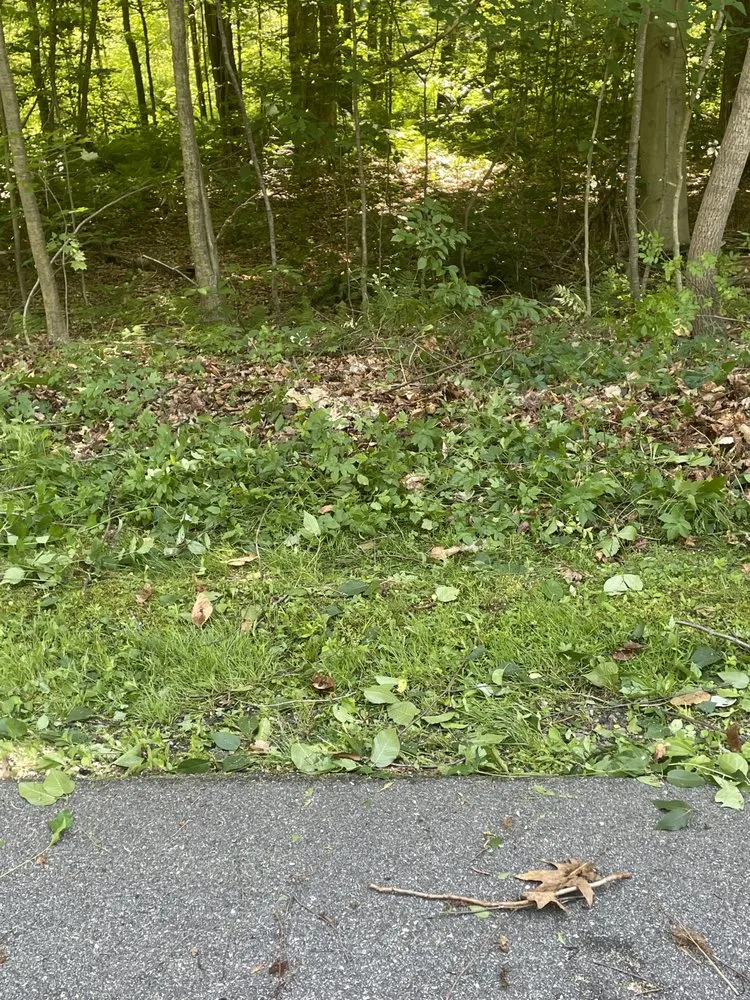 Affordable residential landscaping in Torrington, CT - Mike's Tree Service & Landscaping