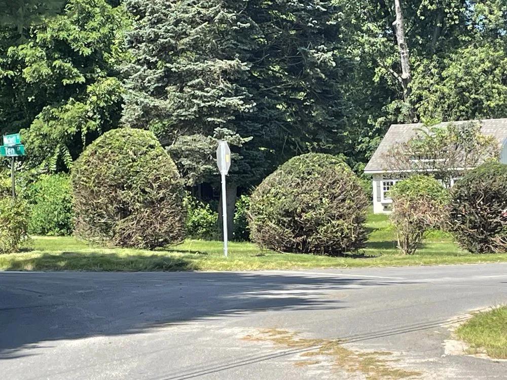 Trusted outdoor landscaping for homes across Torrington, CT - Mike's Tree Service & Landscaping