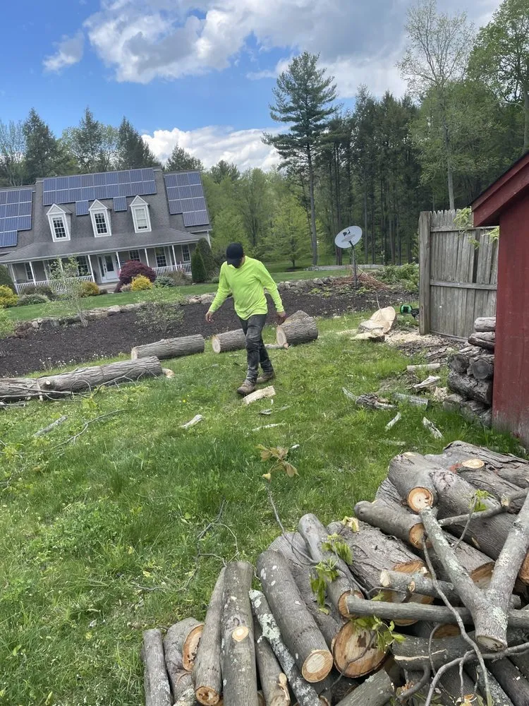 Local yard cleanup service experts serving Torrington, CT - Mike's Tree Service & Landscaping