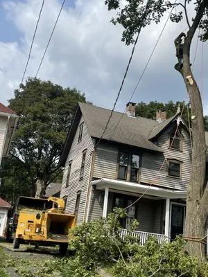 Mike's Tree Service & Landscaping