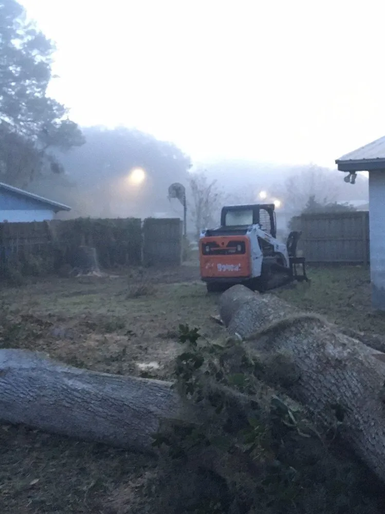 Top-rated lawn mowing service for residential properties in Gainesville, FL by Mike's Tree Service