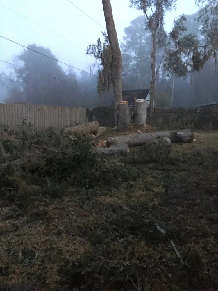 Local landscape installation for homes across Gainesville, FL - Mike's Tree Service