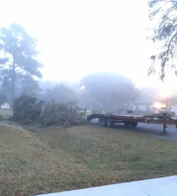 Mike's Tree Service Logo