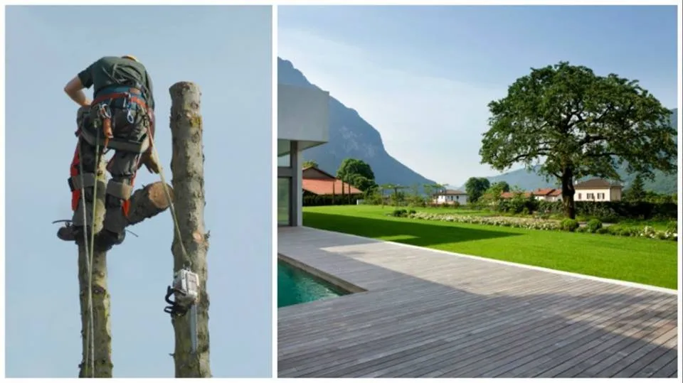 Affordable yard cleanup service in Hillsboro, OH - Mike's Tree Service