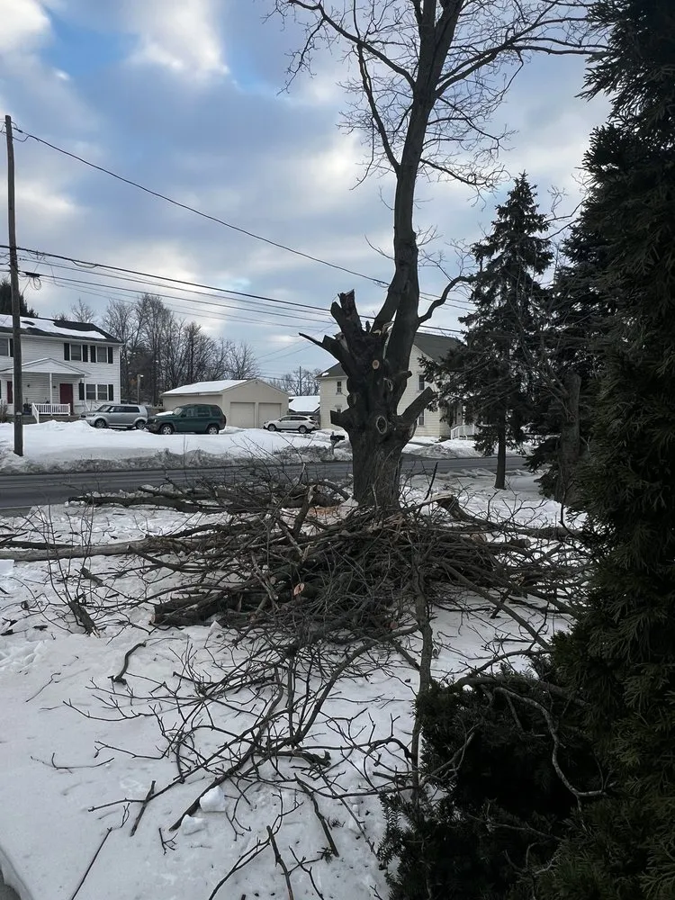 Trusted garden landscaping in York, PA by Mikes Tree Services