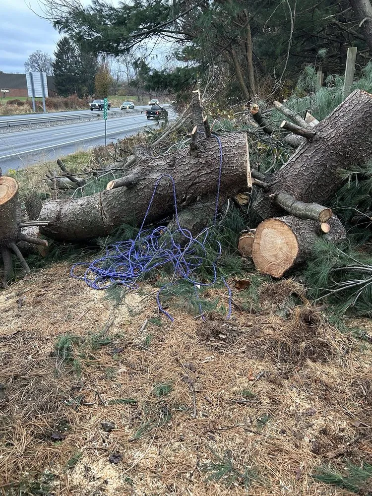 Affordable outdoor landscaping experts serving York, PA - Mikes Tree Services