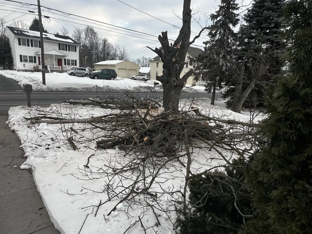 Affordable landscaping services in York, PA - Mikes Tree Services