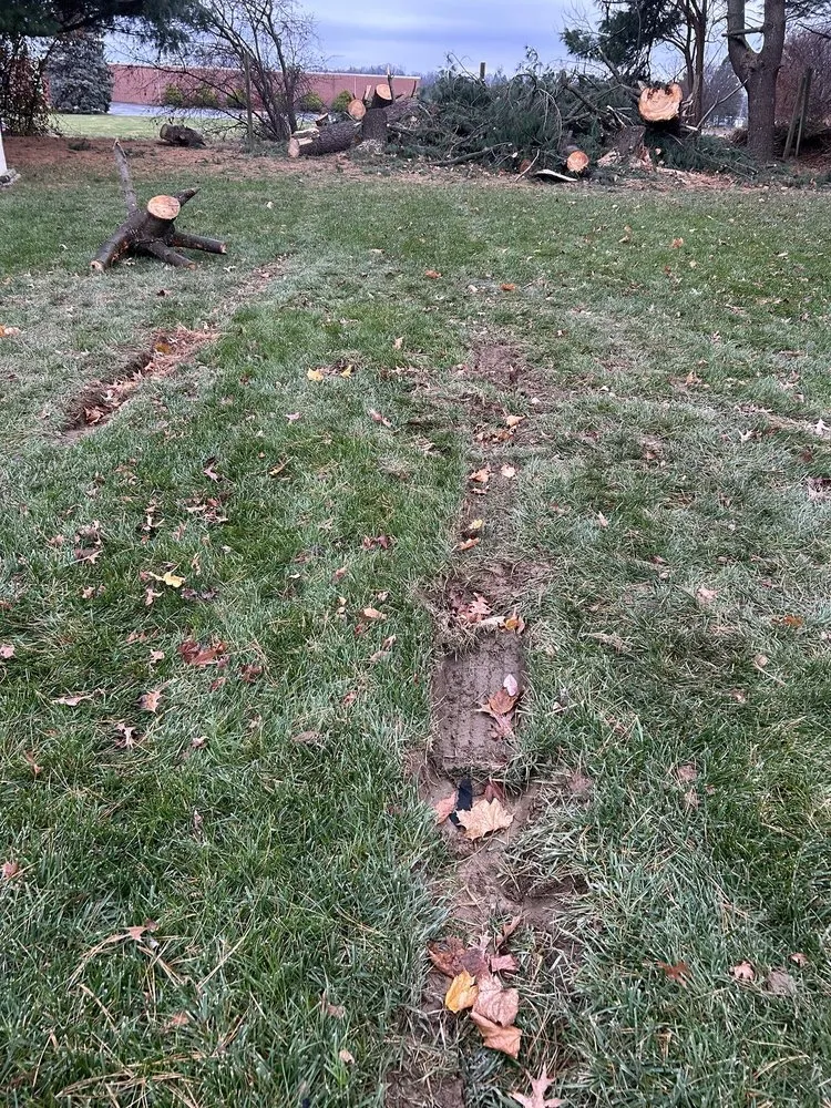 Reliable lawn care service with custom design in York, PA by Mikes Tree Services