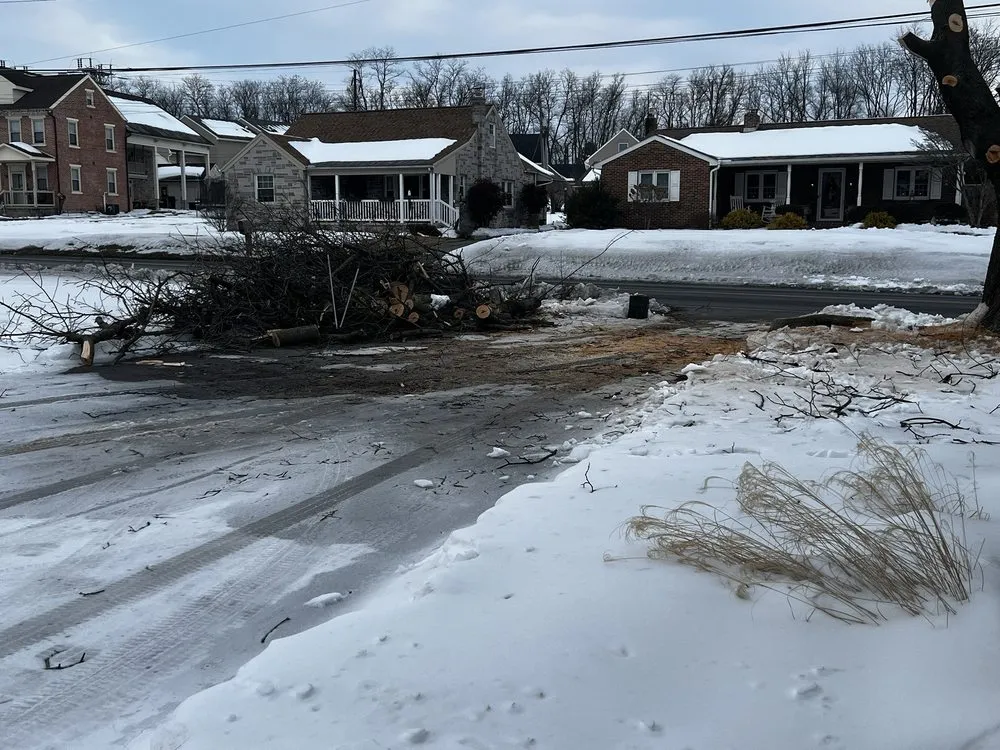 Reliable landscape design experts serving York, PA - Mikes Tree Services