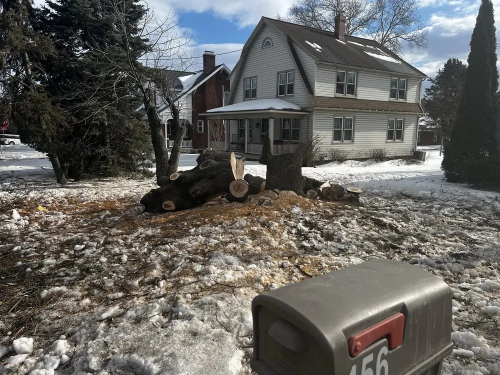 Local yard cleanup service for beautiful yards in York, PA by Mikes Tree Services