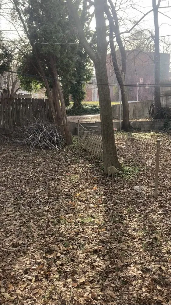 Reliable outdoor landscaping for homes in York, PA by Mikes Tree Services