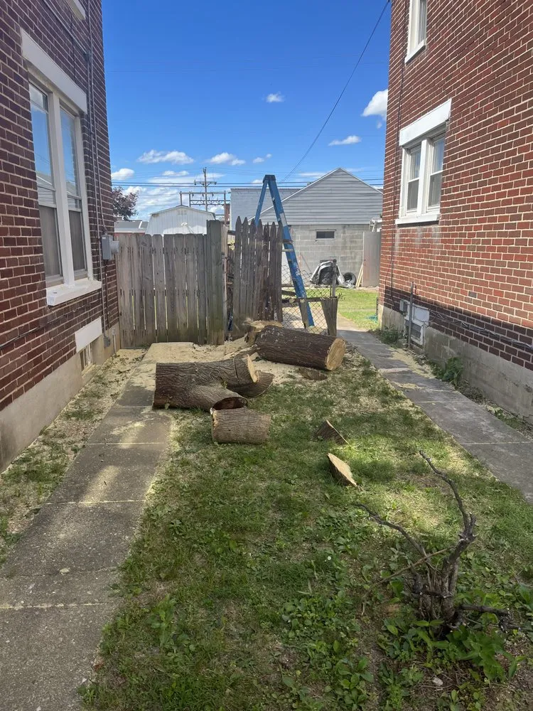 Professional landscape installation experts serving York, PA - Mikes Tree Services