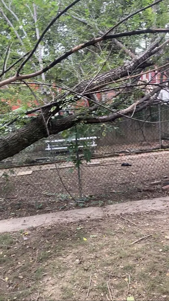 Affordable outdoor landscaping for homes across York, PA - Mikes Tree Services