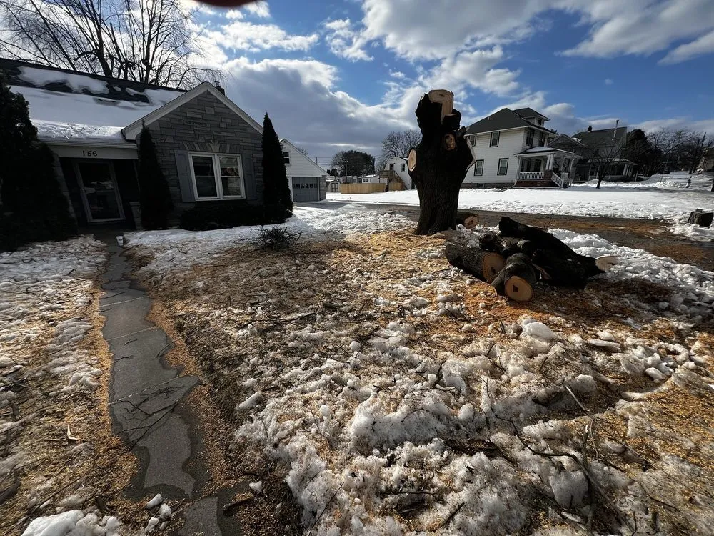 Top-rated landscape installation experts serving York, PA - Mikes Tree Services