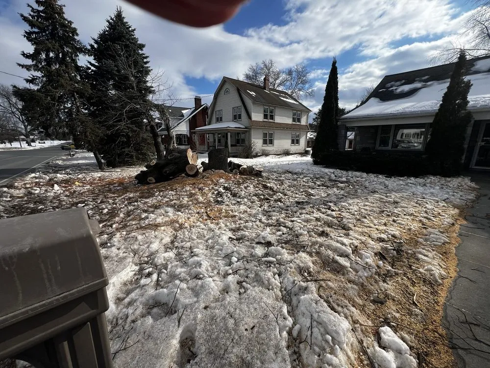 Reliable outdoor landscaping in York, PA by Mikes Tree Services