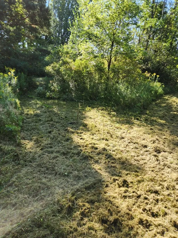 Reliable landscape design for homes in Bernville, PA by Mikes Tree Worx