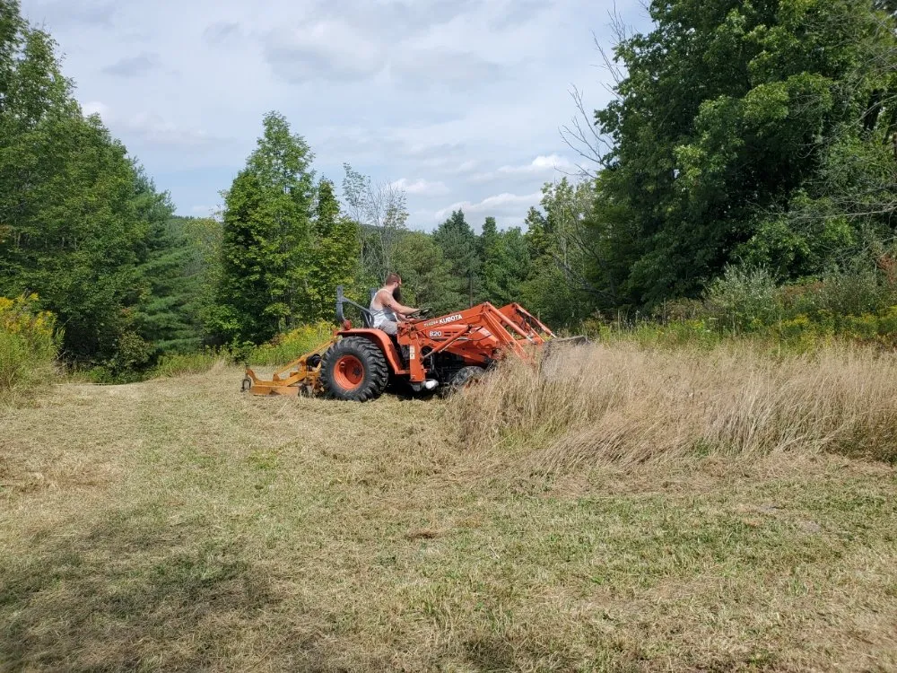 Expert residential landscaping experts serving Bernville, PA - Mikes Tree Worx