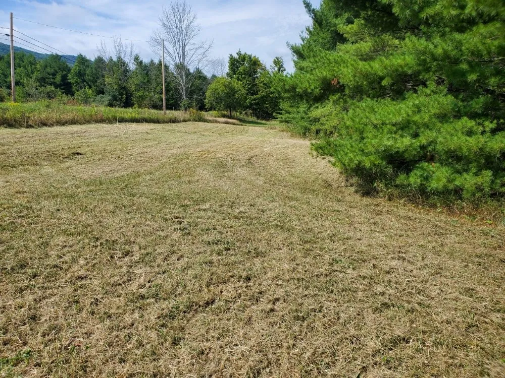 Affordable residential landscaping experts serving Bernville, PA - Mikes Tree Worx