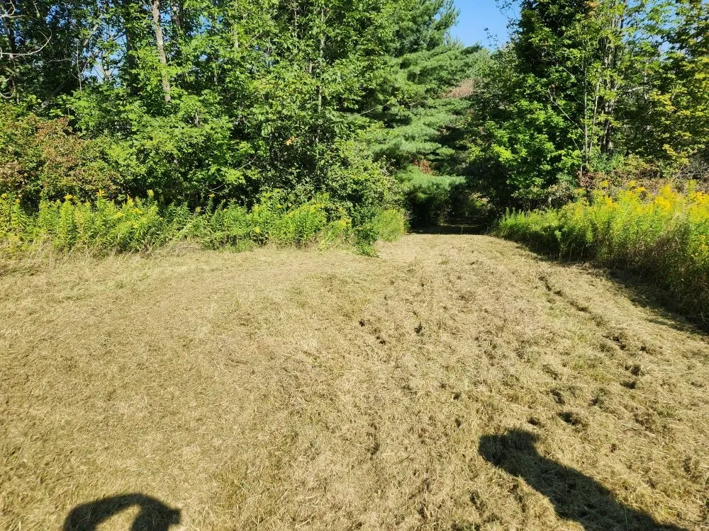 Reliable yard cleanup service for outdoor upgrades in Bernville, PA by Mikes Tree Worx