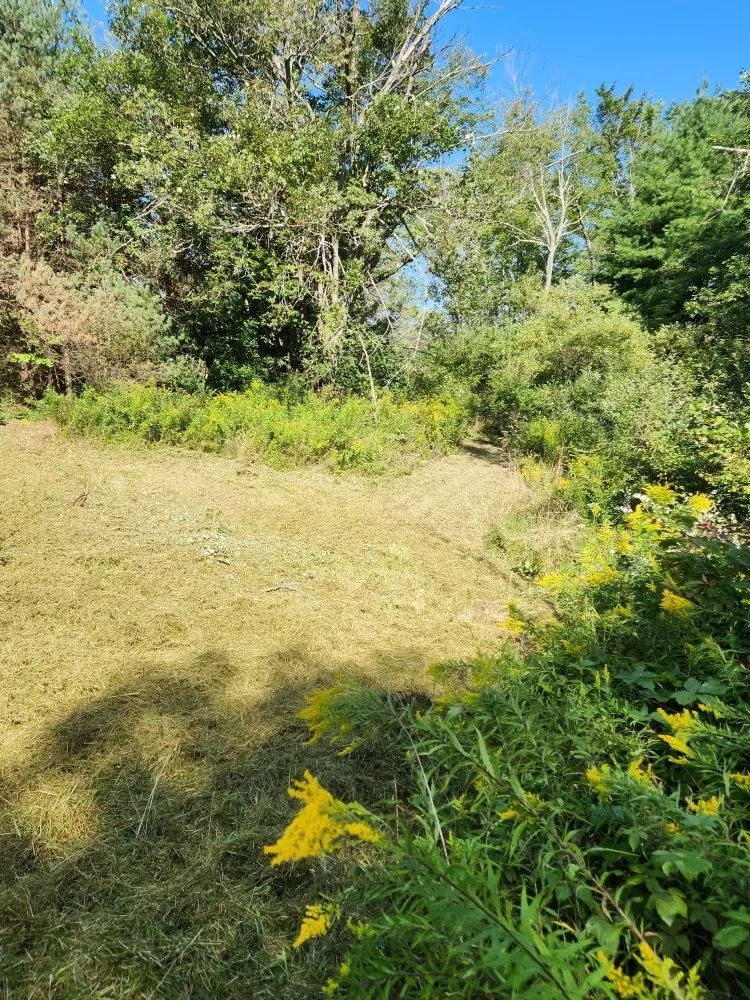 Professional yard cleanup service experts serving Bernville, PA - Mikes Tree Worx