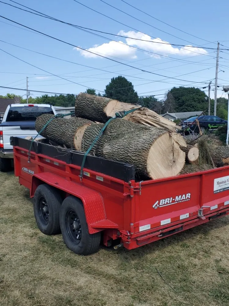 Local yard maintenance for homes across Bernville, PA - Mikes Tree Worx