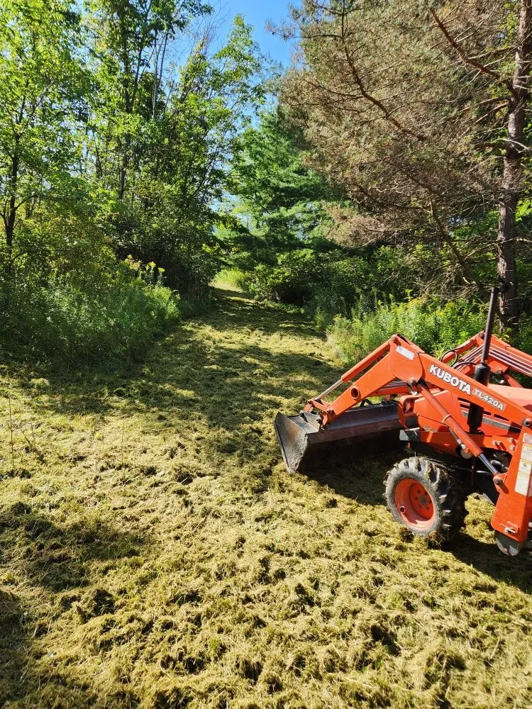 Custom landscape installation for outdoor upgrades across Bernville, PA - Mikes Tree Worx
