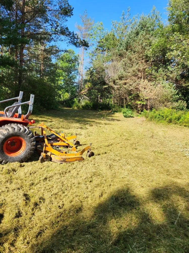 Professional outdoor landscaping experts serving Bernville, PA - Mikes Tree Worx