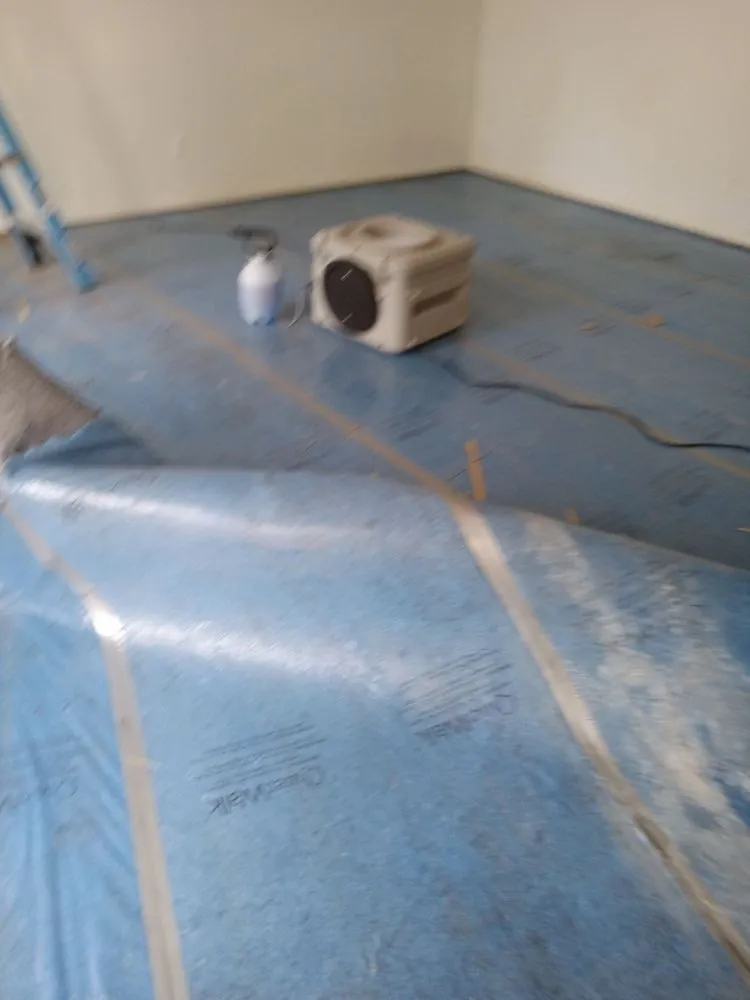 Expert yard cleanup service for outdoor upgrades in Long Branch, NJ by Mike's way