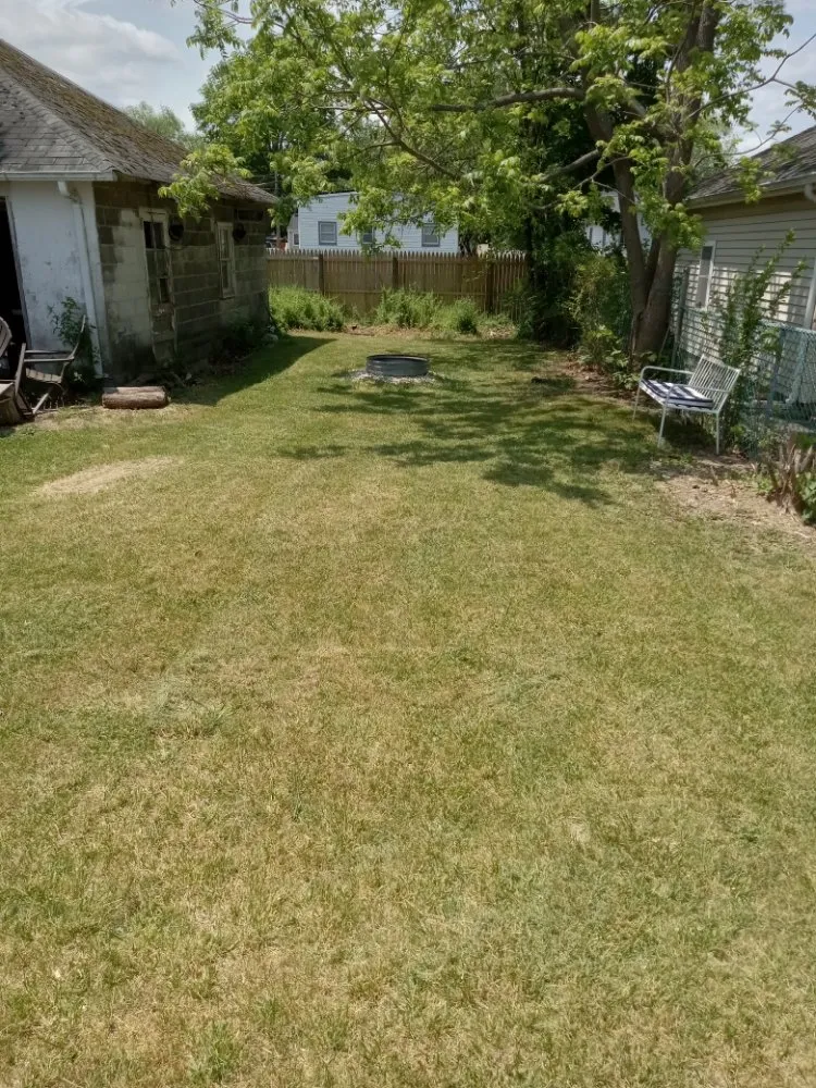 Custom lawn care service for homes in Long Branch, NJ by Mike's way