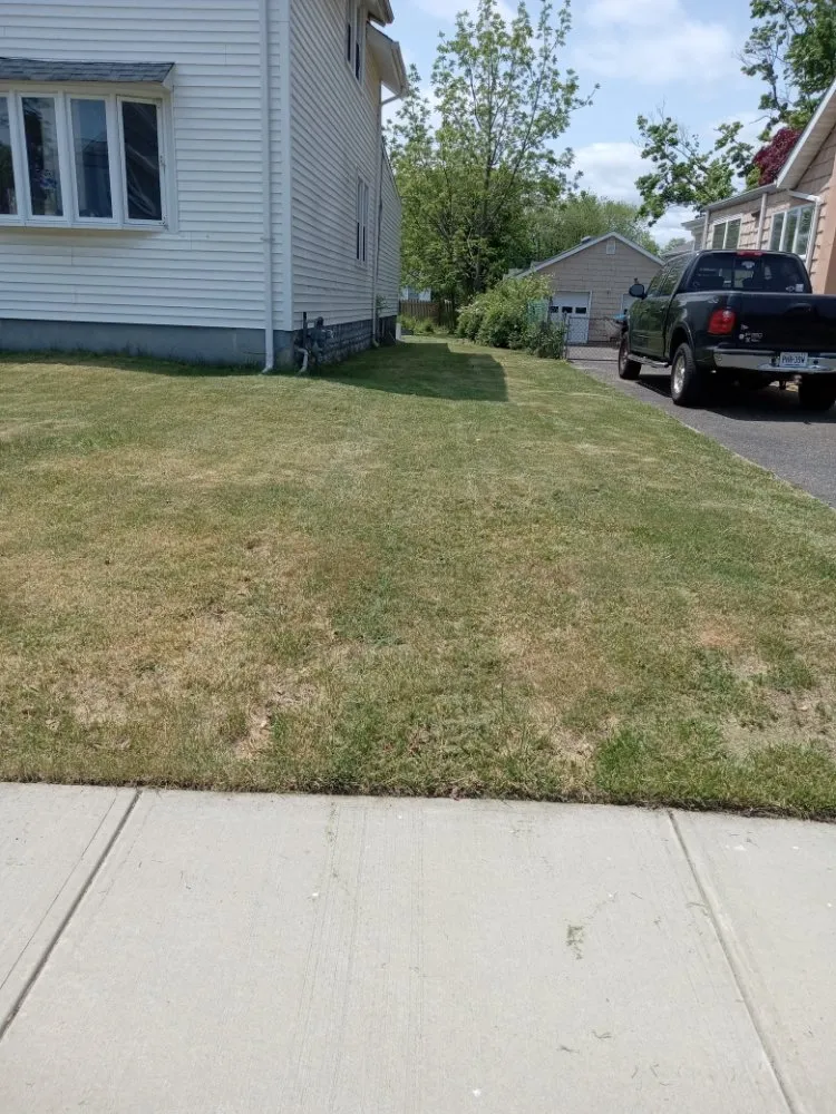 Local landscape installation for year-round maintenance across Long Branch, NJ - Mike's way