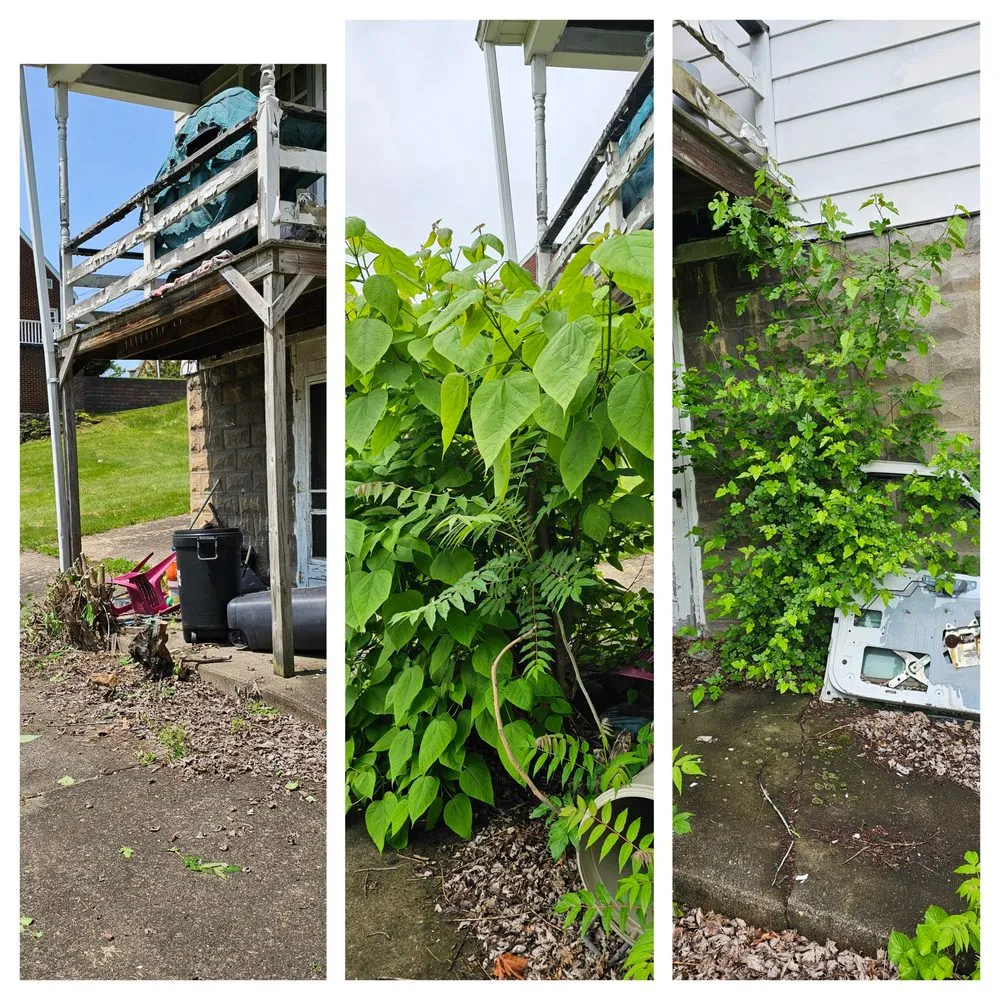 Trusted landscape installation in Weirton, WV - Mike's