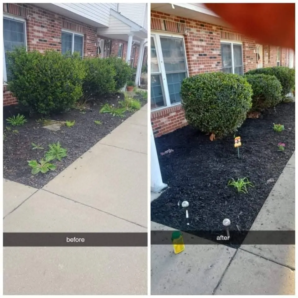 Expert residential landscaping in Weirton, WV by Mike's