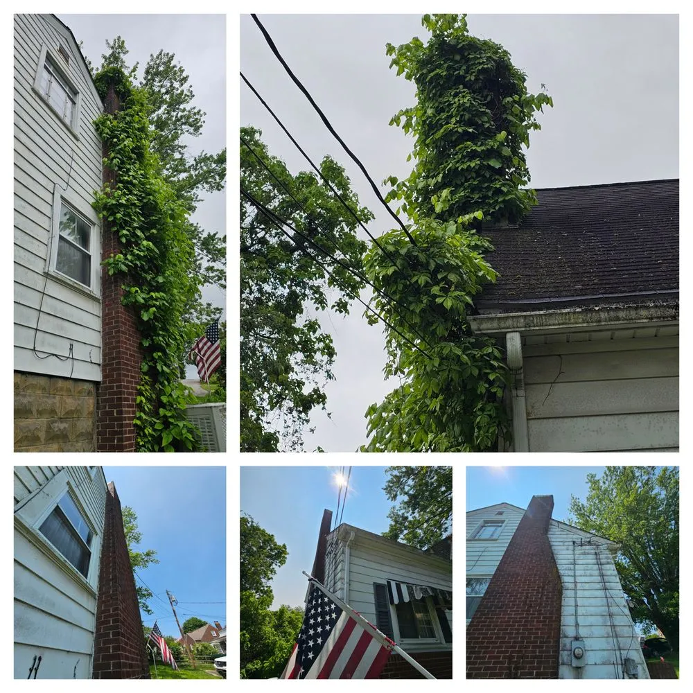 Trusted garden landscaping for year-round maintenance in Weirton, WV by Mike's